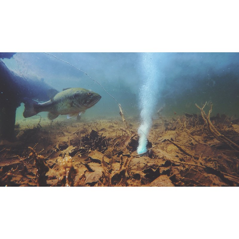Bait Cloud beitokuraudo fish-attractivity fo-myura-bo-ru Bait Cloud