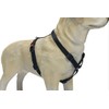 Karlie Art Sportiv Plus Harness, 45-70 cm x 20 mm,