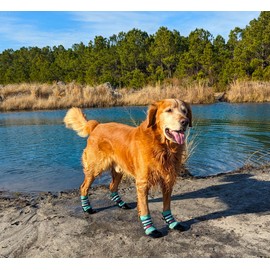 All Weather Neoprene Paw Protector Dog Boots with Reflective Straps in 5 Sizes! (Turquoise Medium)