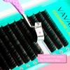 VAVALASH Cashmere Lashes - Premium Volume Eyelash Extensions 8-20MM Individual