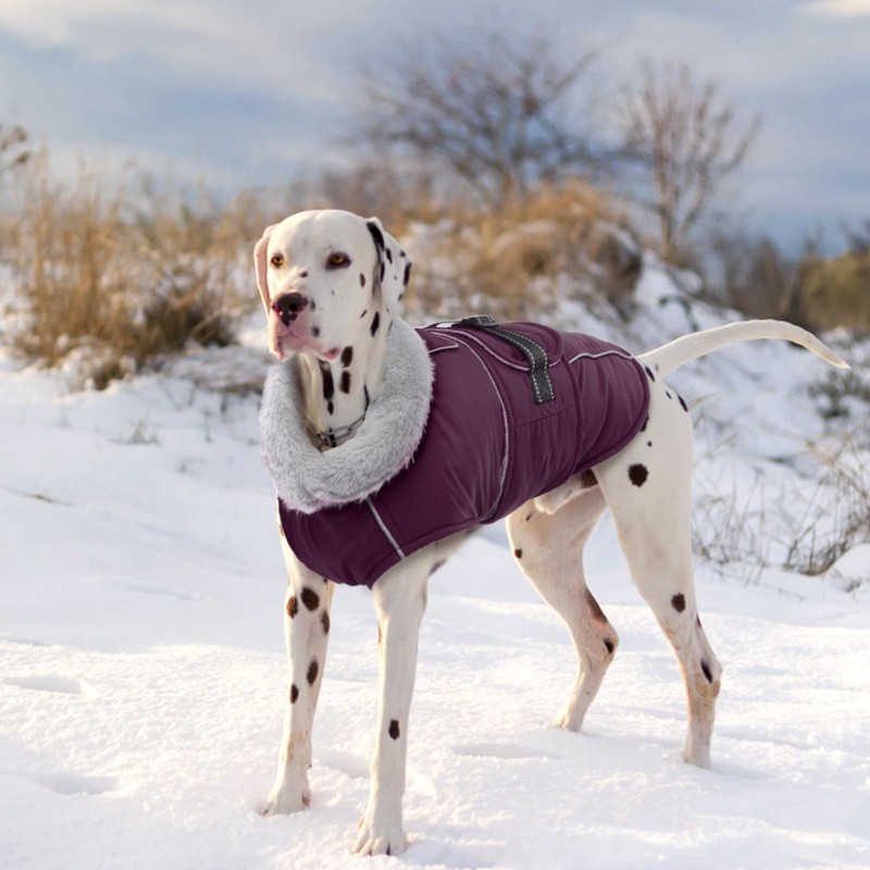 Lelepet Warm Dog Coat Waterproof Dog Jacket for Large Dogs