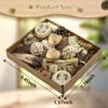 LOPERDEVE Natural Bird Toy Foraging Parrot Shredding Toys Box Conure