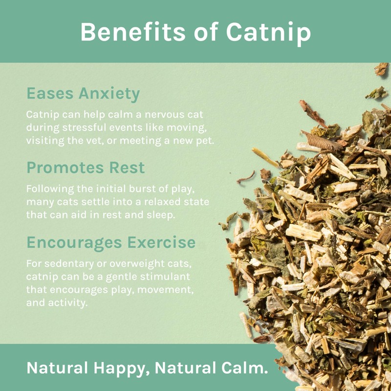 Kitty City Cat Premium Natural Catnip Collection, Catnip Tin