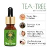 Old Tree Tea Tree Essential Oil for Skin, Hair and