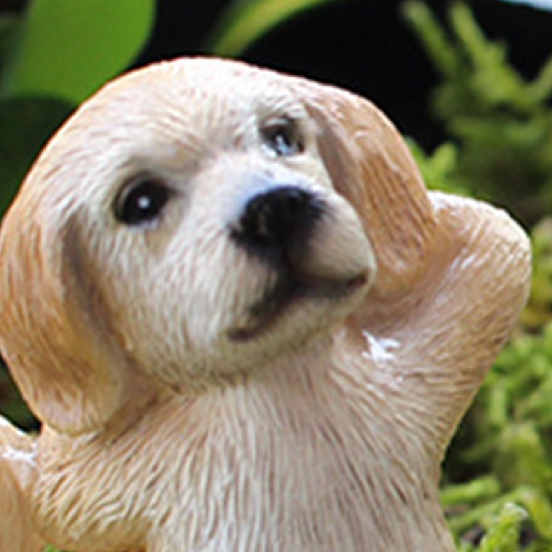 Yoga Dog Figurine Set Dog Doing Yoga Statue Miniature Garden