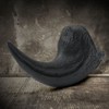 Fossilized Teeth and Claws of Various Prehistoric Dinosaurs, Megalodon Shark