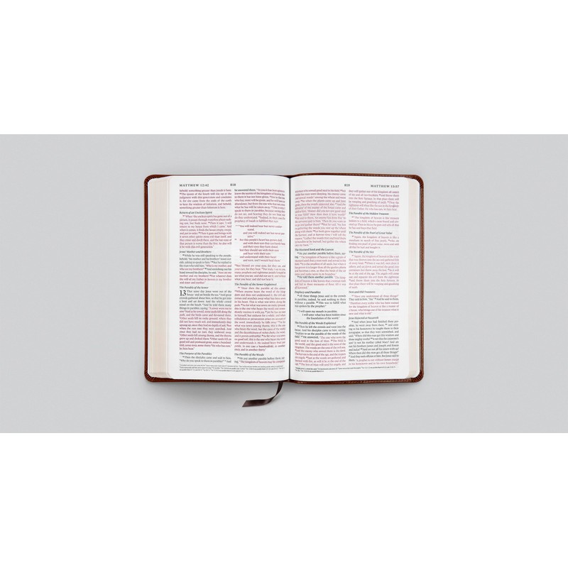 ESV Thinline Bible, Red Letter (TruTone, Mahogany, Border Design)