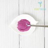 Blueberry concentrated powder 200g+200g+200g / 블루베리농축분말 200g+200g+200g