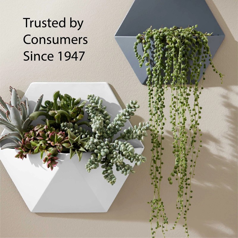 Krylon COLORmaxx Gloss Peekaboo Blue Spray Paint 12 Oz Home