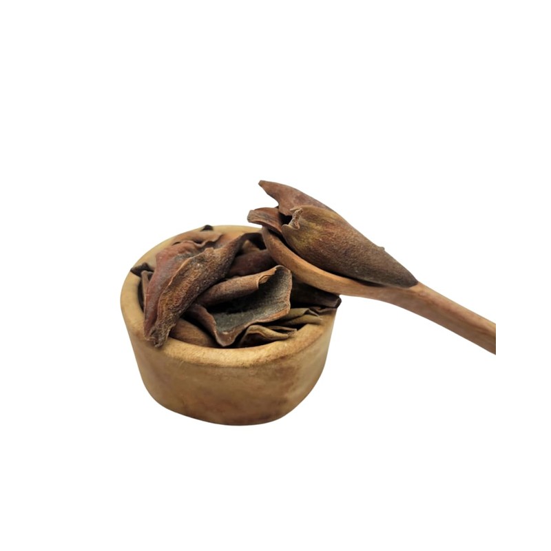 Té Yoloxochitl Magnolia, Té Herbal Infusion, Tisana Artesanal 100% Natural