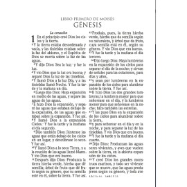 Biblia Rvr1960 Letra Súper Gigante Cuero Genuino Negroíndice