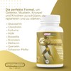 Healthy Fusion Healthy Fusion, V9 Artifusion | Starkes Anti-entzndungs- und
