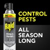 Raid Wasp & Hornet Killer Spray, Bug Killer Kills the