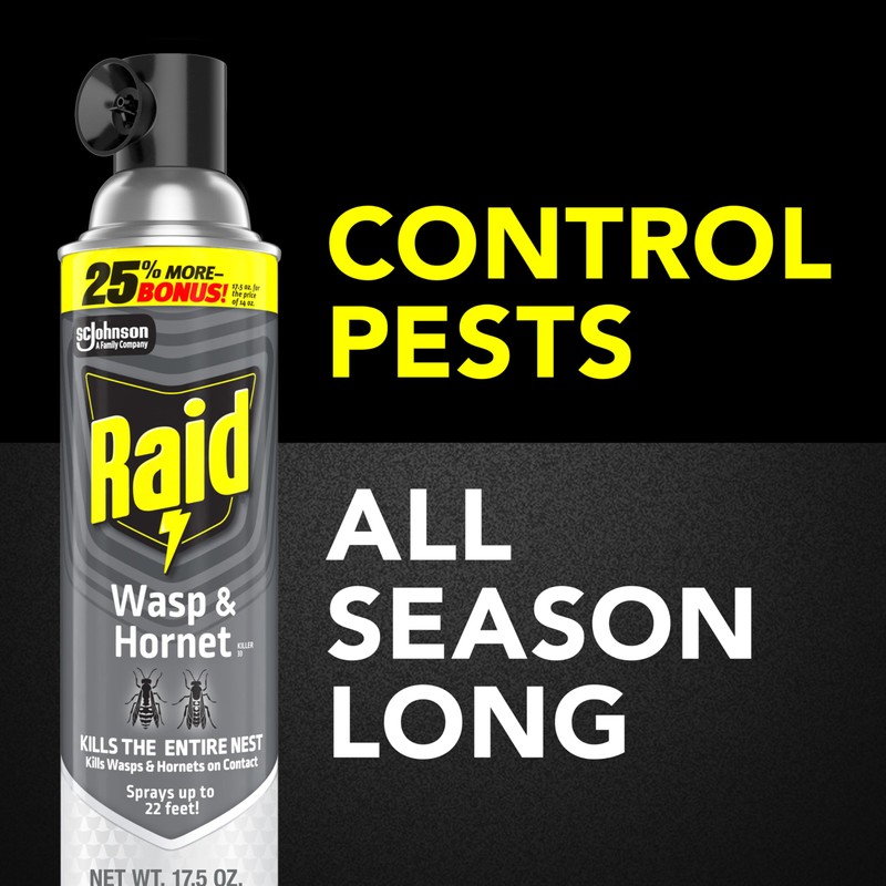 Raid Wasp & Hornet Killer Spray, Bug Killer Kills the
