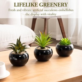 MyGift Mini Assorted Artificial Succulents in Round Black Ceramic Pots, Mixed Realistic Indoor House Plants, Set of 3
