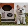 Vivid Arts 17cm West Highland Puppy Pet Pals Resin Ornament