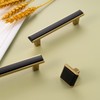 BEROSSA Black and Gold Cabinet Pulls Matte Black and Gold