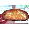 SanFranSourdough California SOUR STARTER tangy active strong Sourdough bread Organic
