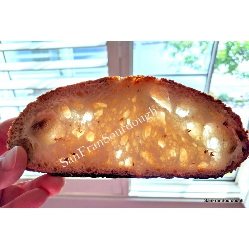 SanFranSourdough California SOUR STARTER tangy active strong Sourdough bread Organic