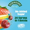 Robinsons Squash'd Summer Fruits NAS (66ml) (Single Pack)