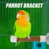 Window Perch for Birds | Parakeet Training Stand | Suction