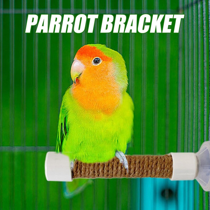 Window Perch for Birds | Parakeet Training Stand | Suction