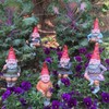 Gnomes of Toad Hollow - Classic Garden Gnome 6" H