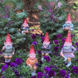 Gnomes of Toad Hollow - Classic Garden Gnome 6" H Shelf Sitter Assortment (1 Each of 6 Styles) with Removable 8" Metal Garden Stake