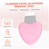 SAFIGLE 2pcs Facial Skin Scrubber Pore Spatula for Blackhead Removal