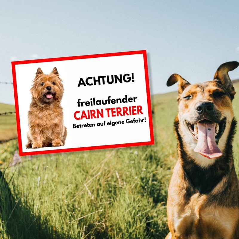Cairn Terrier Hell Freilaufender Hund Dog Sign Saying Door Sign