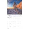 2025 Elements of Nature Wall Calendar