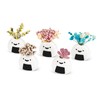 Flenpptly 5 Pcs Mini Vases, Mini Flower Vase for Dry