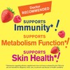 WellYeah WellYeah Zinc + High Potency Vitamin B6, Gummies Bundle