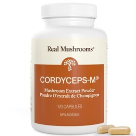 Cordyceps Performance Suplemento en polvo de extracto de hongos - Mejora la energía y la resistencia (120 ct) sin OMG (60 días)