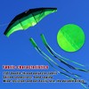 TianYueFly Huge 3D Adult Gliders Kite, 120" in Giant Single