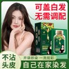 Hair Color Dye Rambut Color Hair Dye Shampoo (30 ml