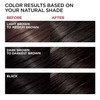 L'Oreal Paris Superior Preference Hair Color Soft Black