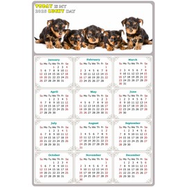 2025 Magnetic Calendar - Calendar Magnets - Today is my Lucky Day - (Fade, Tear, and Water Resistant) - Dogs Themed 016 (7 x 10.5)