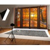 10X8ft Fall Scenery Background, Autumn Landscape Forest Backdrop Window Natural