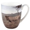 Robert Bateman Lions Set of 2 Mugs