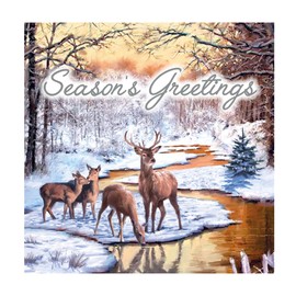Eurowrap Pack of 12 Assorted Christmas Cards Xmas Woodland Stag Reindeer, 2 Designs Season's Greetings and Merry Christmas Eco Friendly Packaging 100% Recyclable