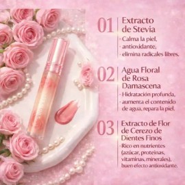 Brillo De Labios Brillo Labial Mayoreo Tornasol Acido Hialur                                                                                          
