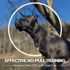 Kimberland Collars Clasp 2.25mm Stainless Steel Low Pro Dog Training Collar for Medium-Large Breeds | 16” Micro Prong Collar for Dogs 26lbs & Up | No-Pull Collar | Dog/Puppy Training & Behavior Aid