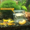4 Pack Planaria Catch Trap Aquarium Snail Leech Clear Glass