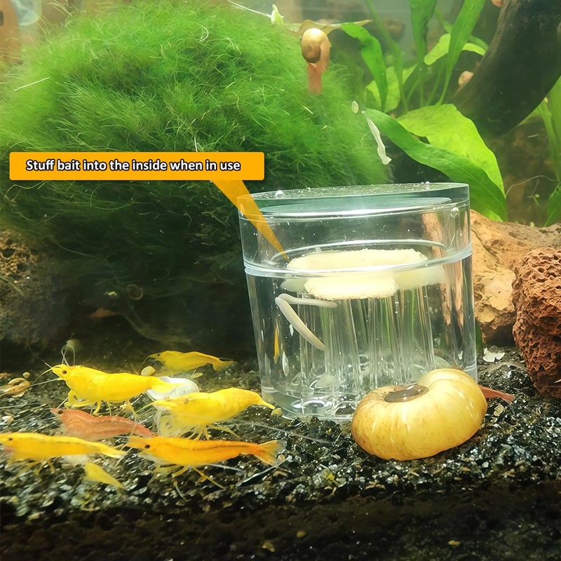 4 Pack Planaria Catch Trap Aquarium Snail Leech Clear Glass