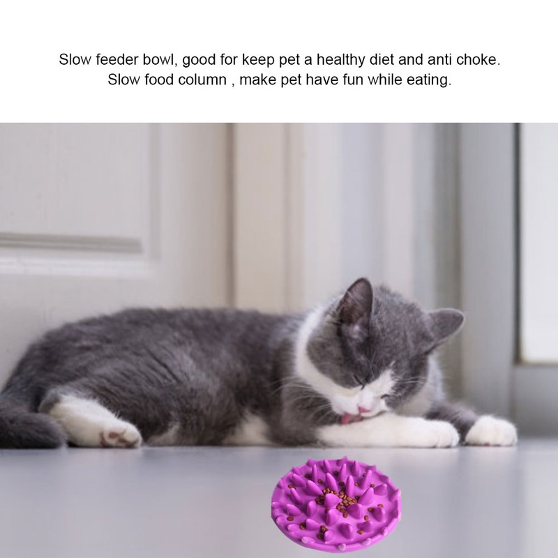 Pet Dog Slow Food Feeder Anti Choke Cat Eating Bowl