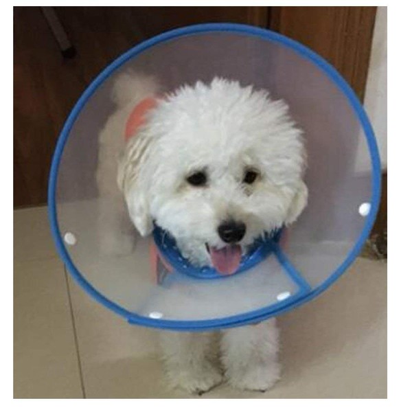 Bolbove Pet Plastic Clear Cone Recovery E-Collar with Dots Design