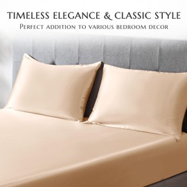 THXSILK Silk Pillowcase for Hair and Skin-Mulberry Silk Pillow Cover- with Hidden Zipper-19 Momme Natural Mulberry Silk on Both Sides (Champagne, Standard)