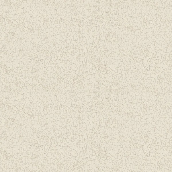 Clothworks Dan DiPaolo Enjoy The Little Things Crackle Y4065-11 Light