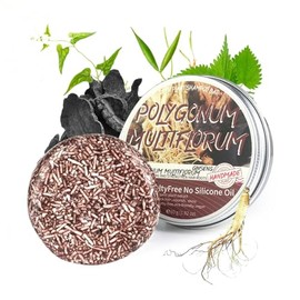 Champú LONEOURS con Jengibre para el Crecimiento del Cabello, Orgánico, Anticaspa, Sólido, Antipicazón (Polygonum multiflorum)